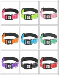 Smart “Scan Me” Dog Collar – GPS Tracking & ID Tag Waterproof Nylon Collar